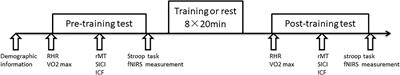 Short-Term High-Intensity Interval Exercise Promotes Motor Cortex Plasticity and Executive Function in Sedentary Females